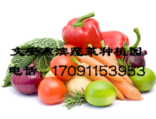 �����߲�