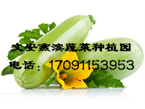 �����߲�