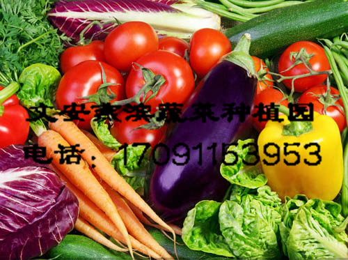 �����߲�